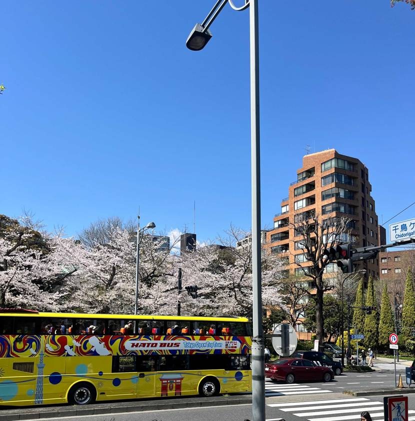 皆さまこんばんわ！
数日前の出来事ですが…
ぶらっと皇居
