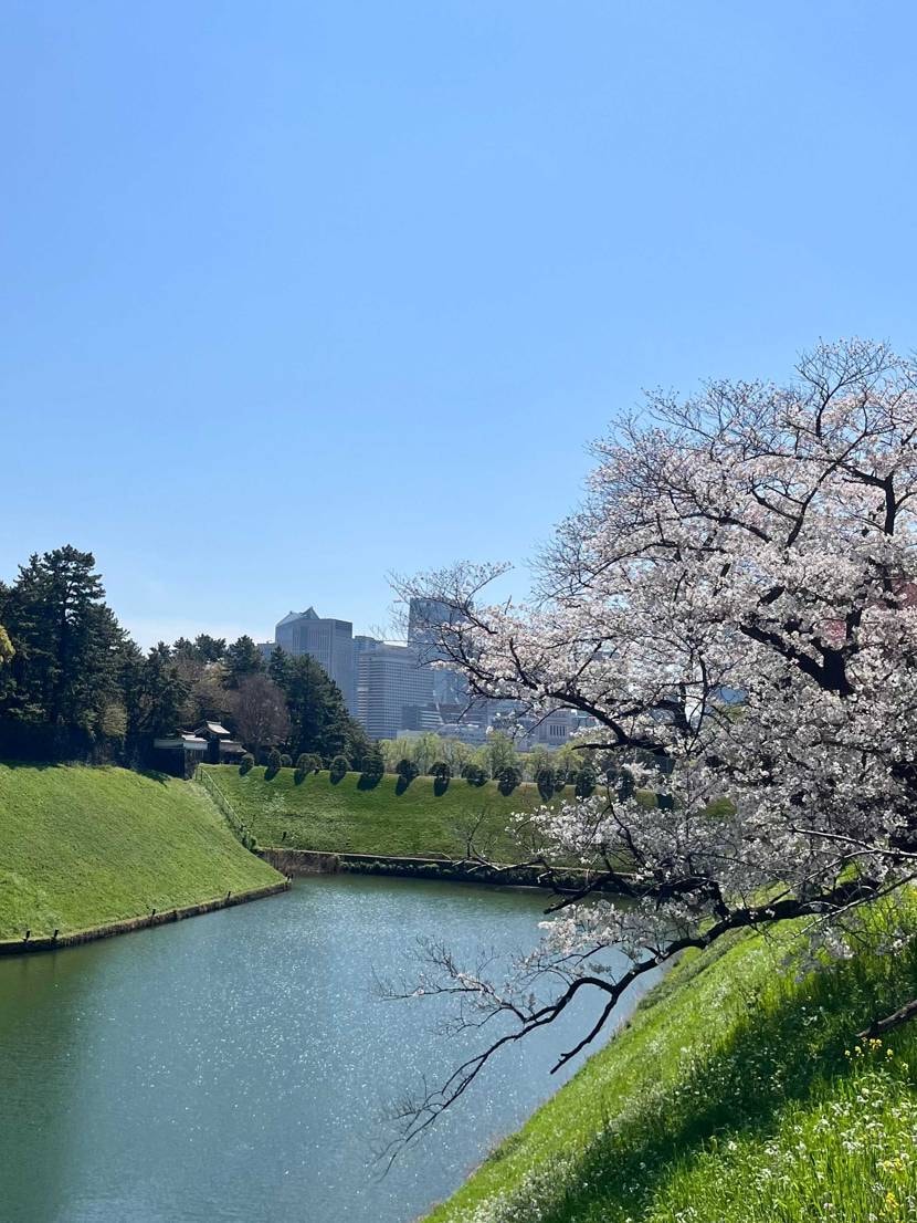 皆さまこんばんわ！
数日前の出来事ですが…
ぶらっと皇居