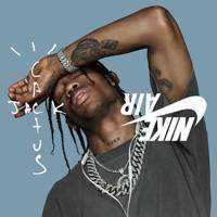 travis