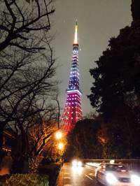 ハルNoName