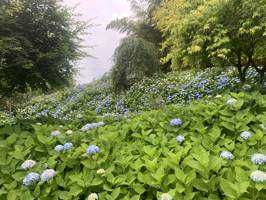 ゆうた