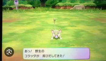 じゃが