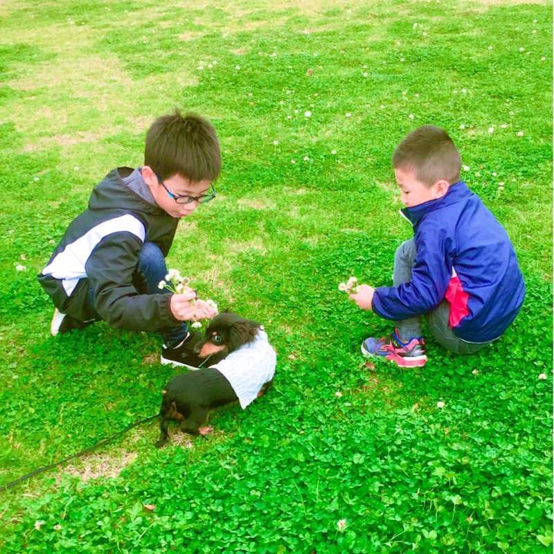 ユーザーアイコン