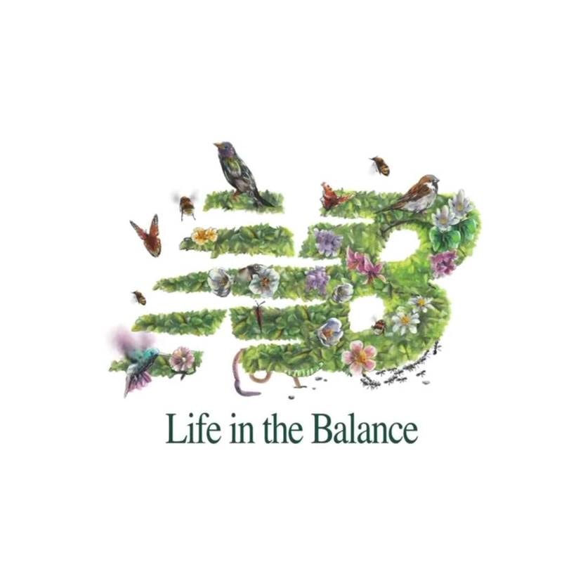 楽しみ🤔
650sですか〜？