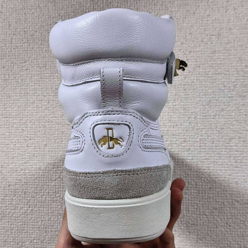 今日はSKY LX MID 'RUDOLF DASSLER 