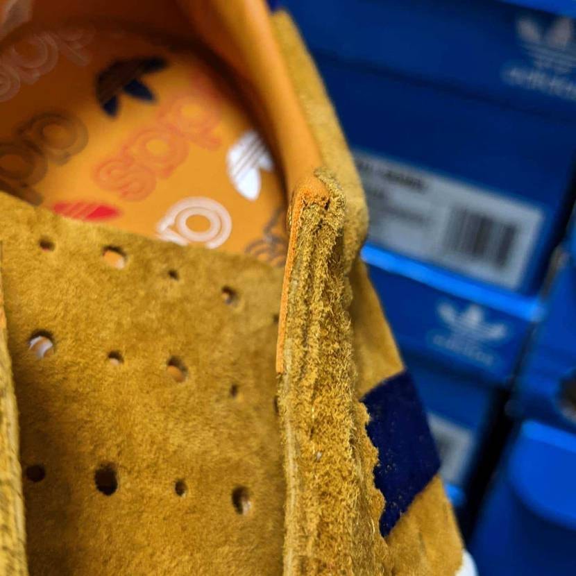 Padiham 'Cycling Masterclass'🧀