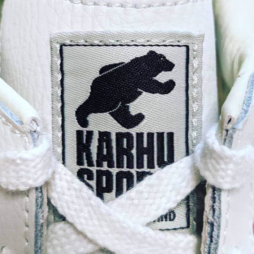 🐻