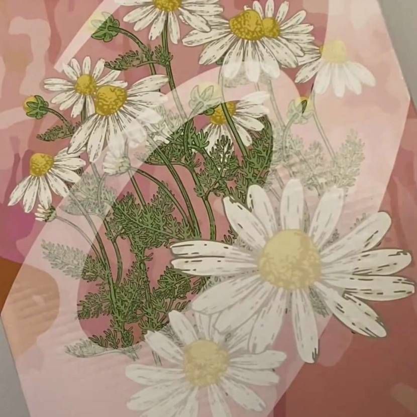 めちゃかわいい
刺繍凝ってる