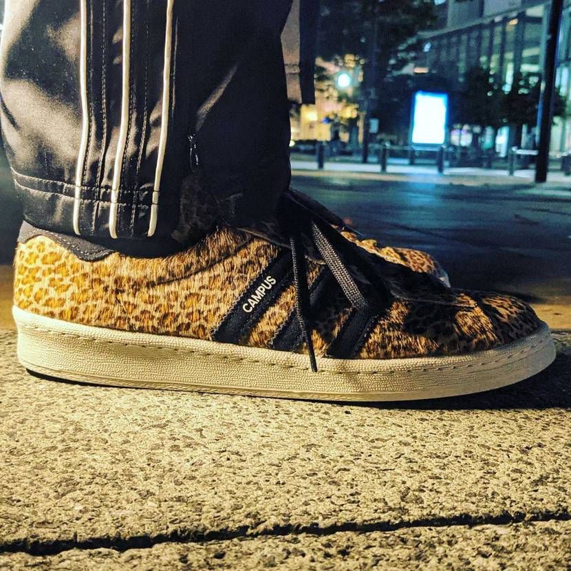 🐆
