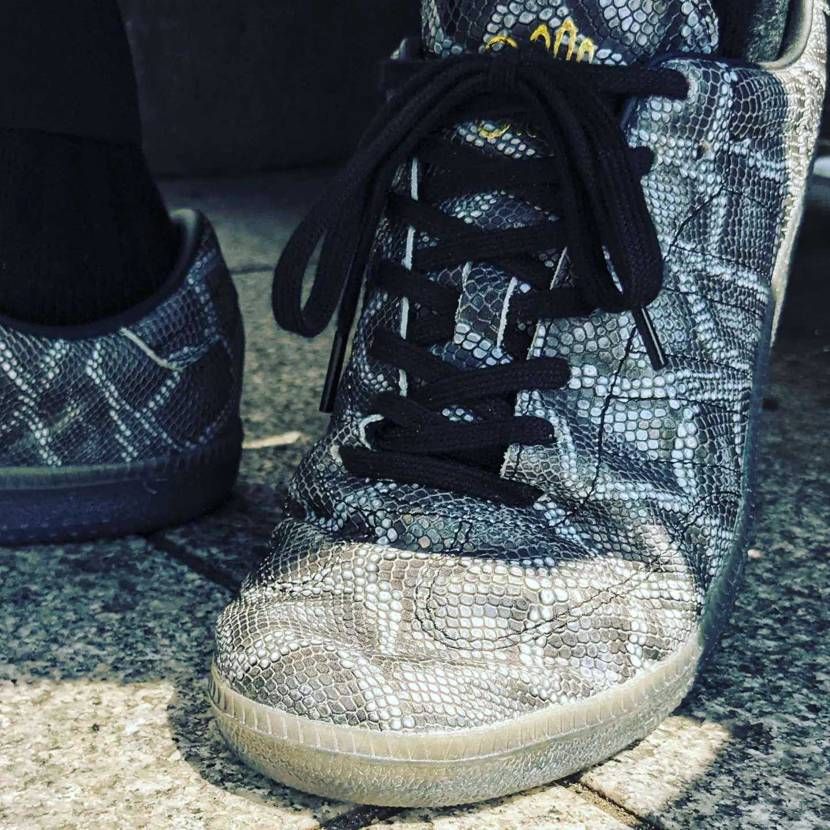 🐍