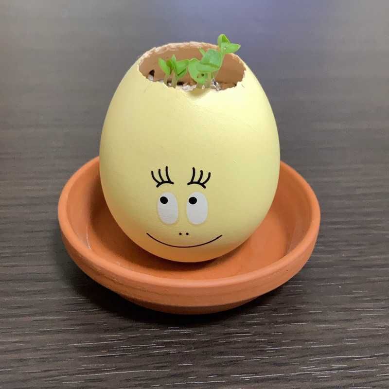 りょうへい