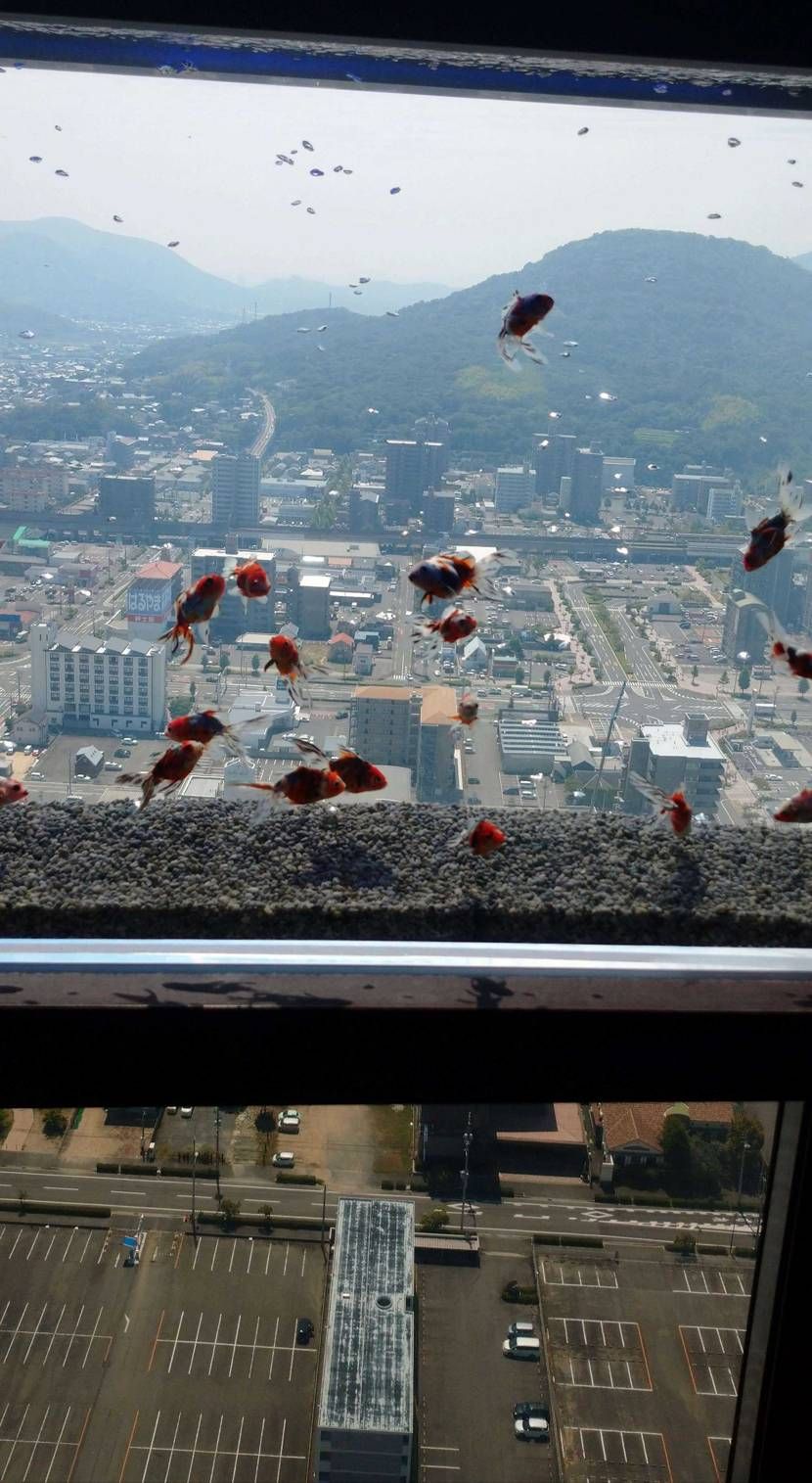 こんちわ。
昨日は18回目の結婚記念日って事で、久々に嫁はん