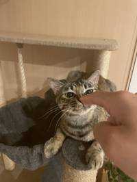 ろく