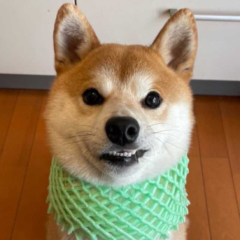 ユーザーアイコン