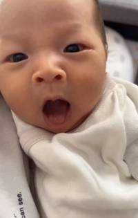 PPT