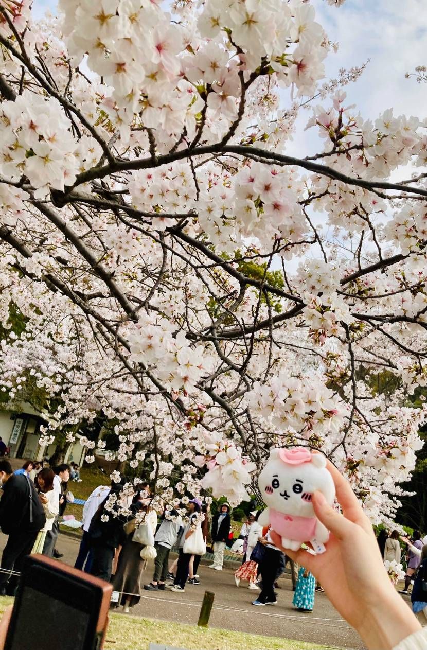 自然の旅〜🚗 ³₃
癒されたぁ⸜( ˶'ᵕ'˶)⸝♡
お