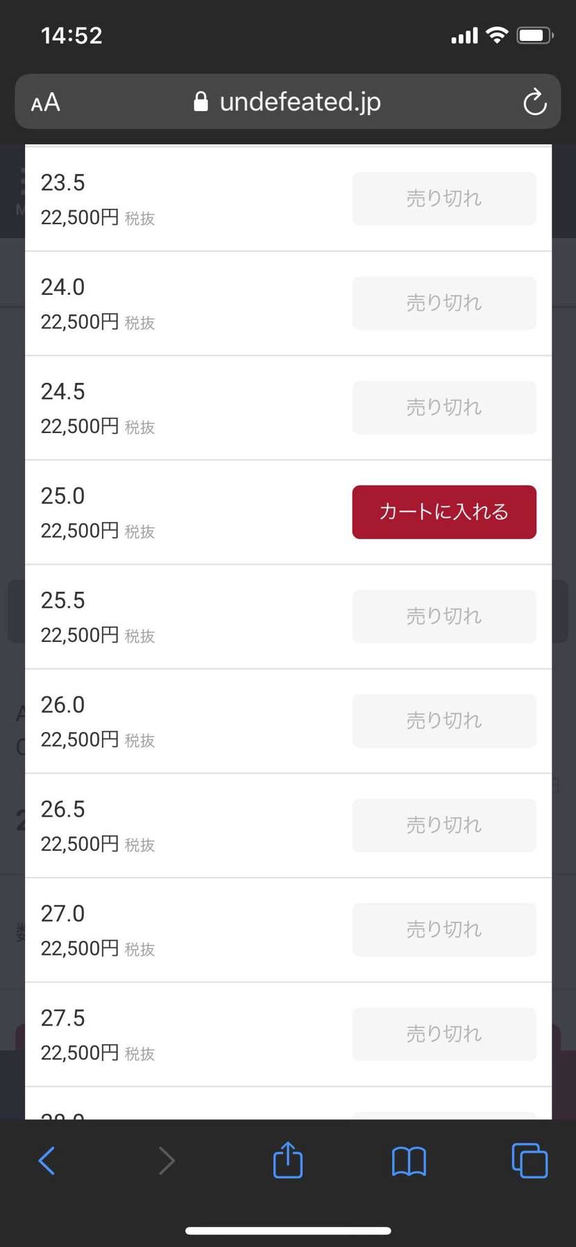 一瞬の出来事！UNDEFEATEDもーなくなりそう...買えてよかった🥴