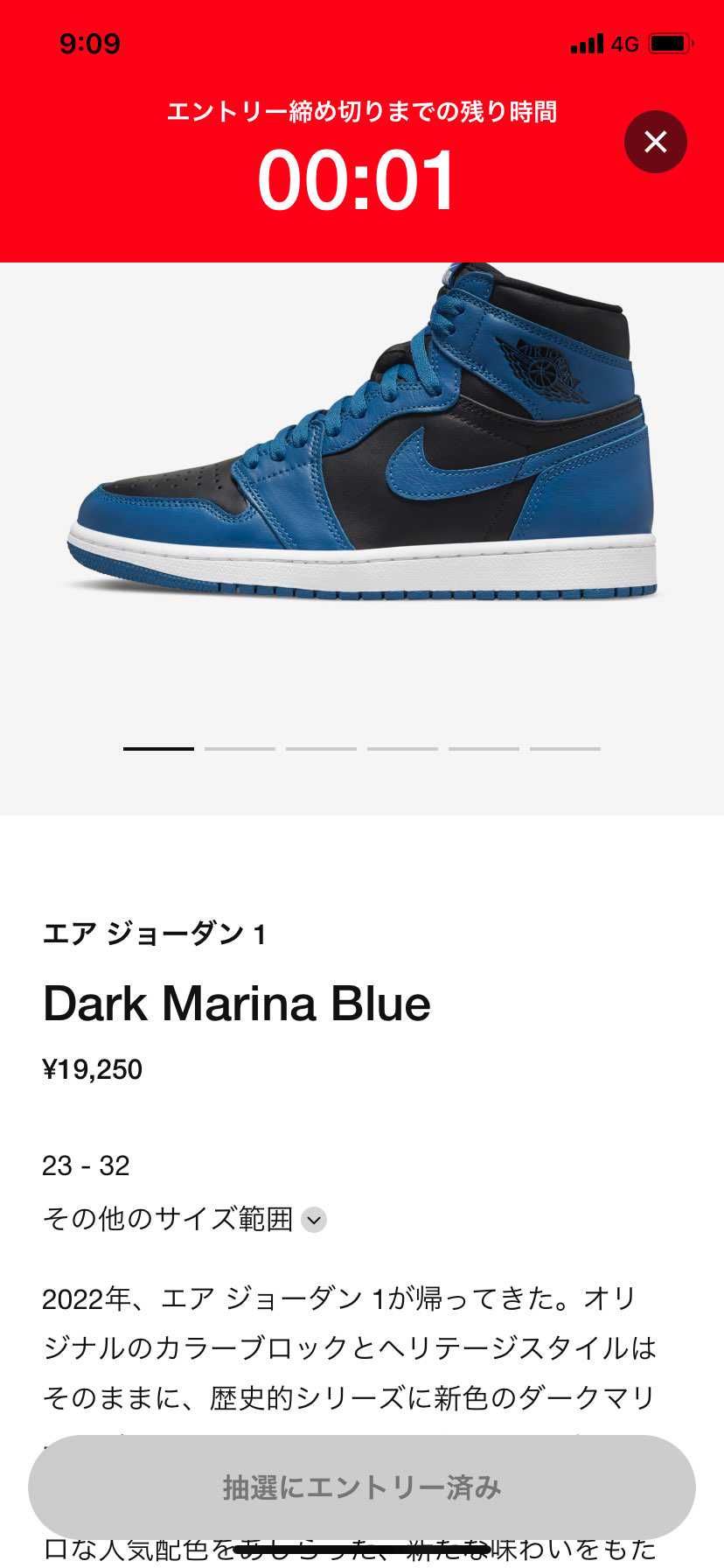 お願いします！