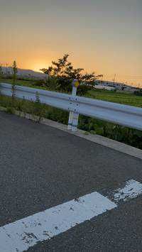 Dream