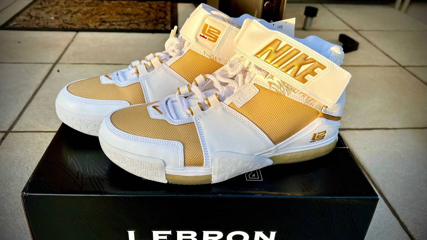 #nike #lebronjames #lebron2 #nikezoom やば