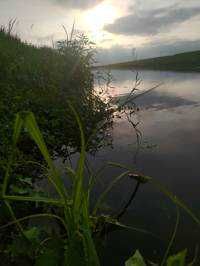 かっしぇー