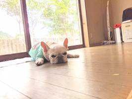 ユーザーアイコン