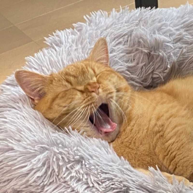 笹岡 和輝