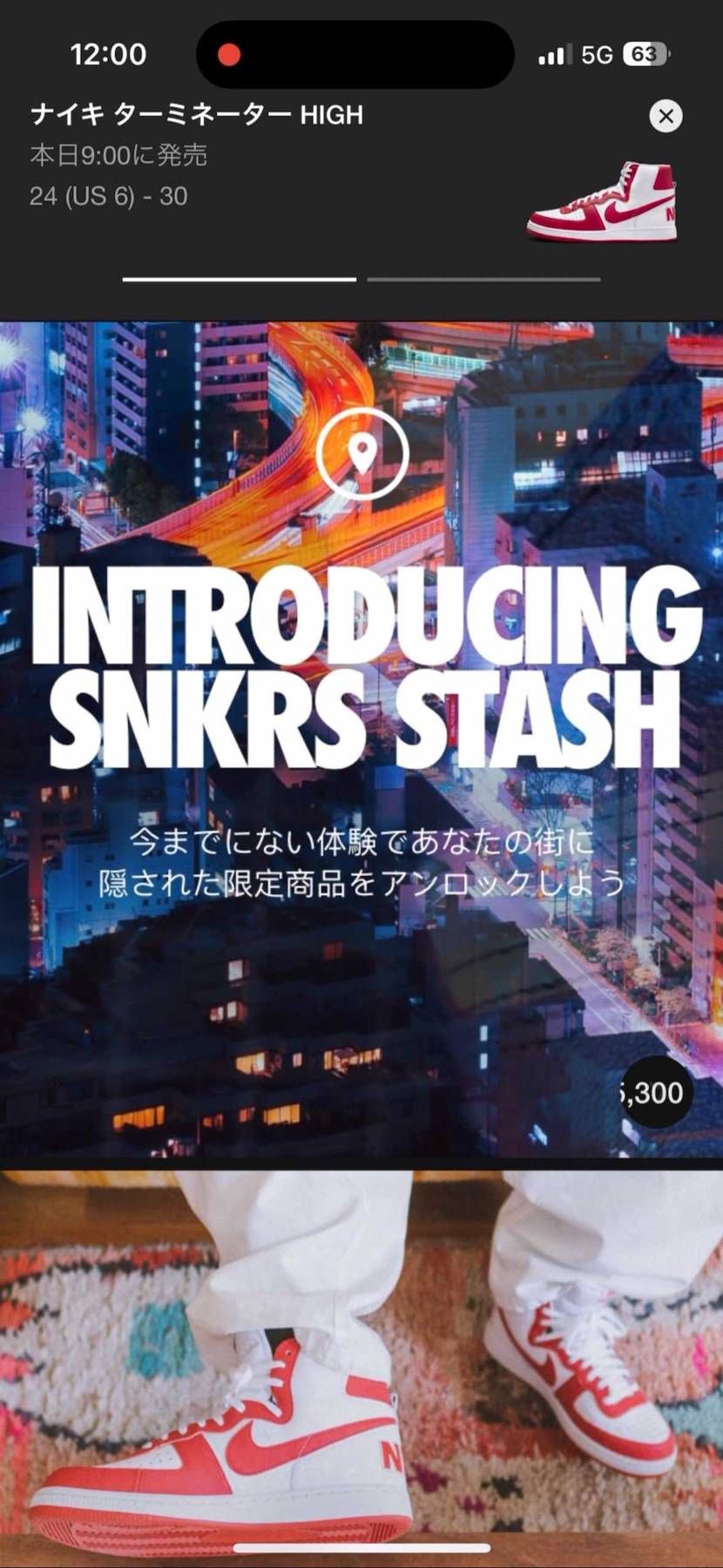 SNKRS STASHのページ開くボタン押すと一瞬見える数字が気になる😂
もし