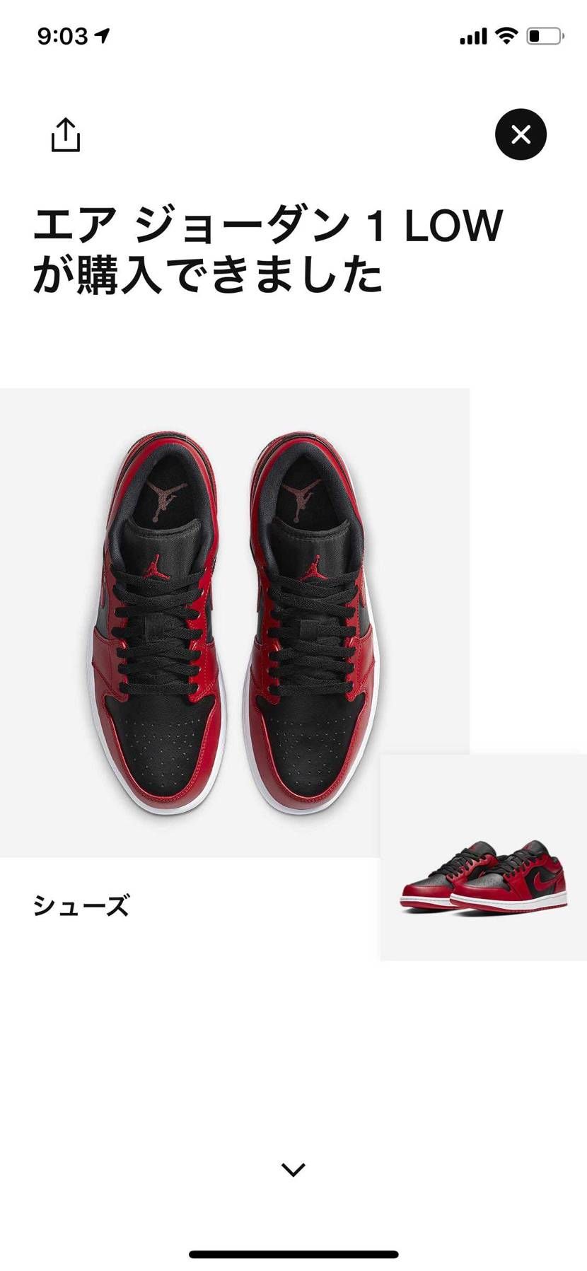 買えました！！