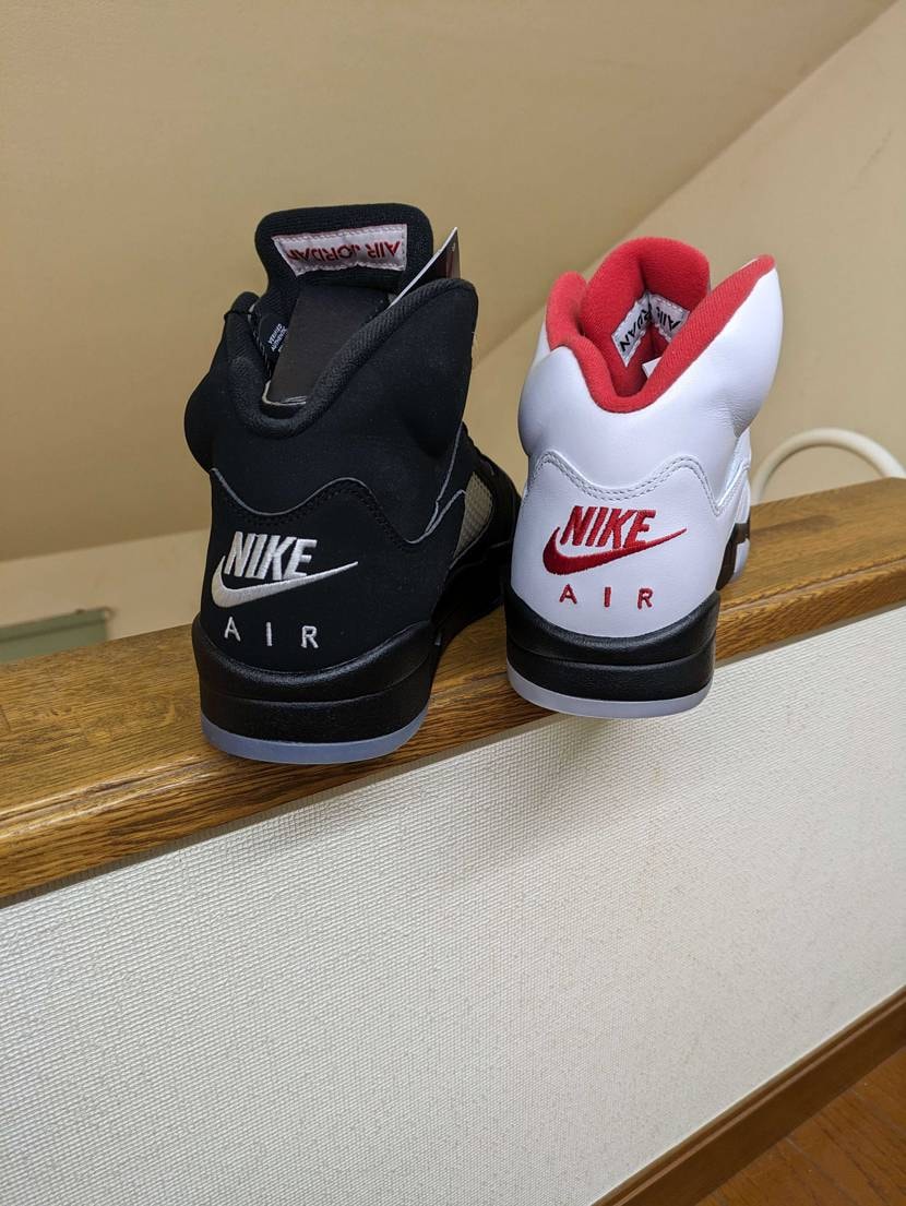 年一作業③
お尻が素敵なシリーズ。
5のブラックタン×フ