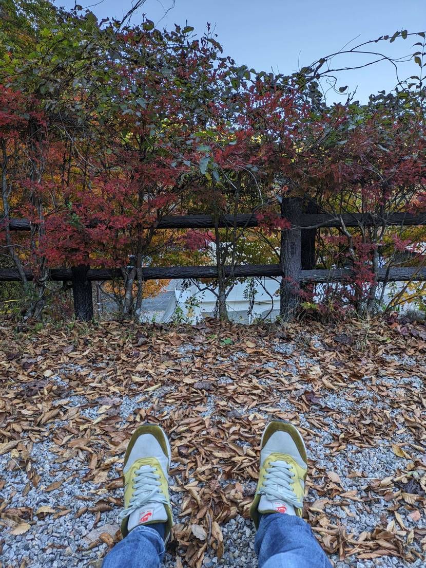 今日は今年最後のキャンプにして、初の息子と二人っきりのキャンプ🏕
いつもはw