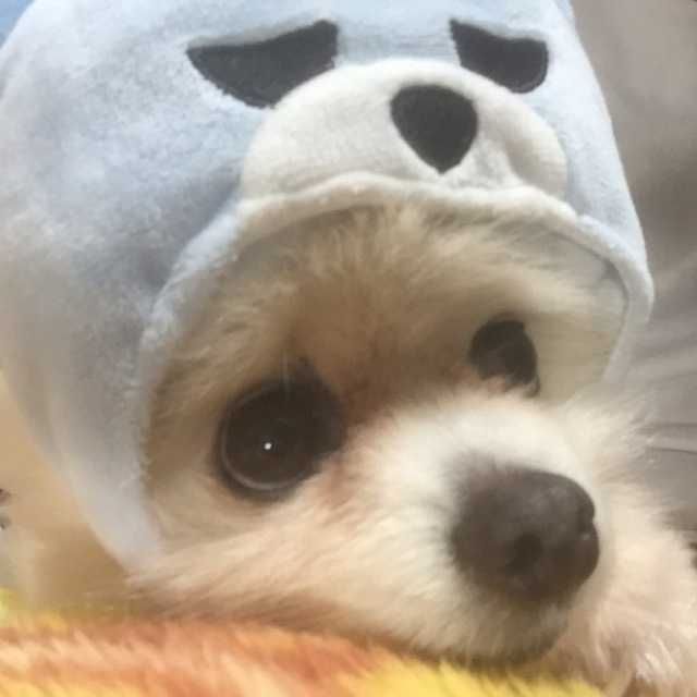 あきら