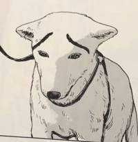 あすの