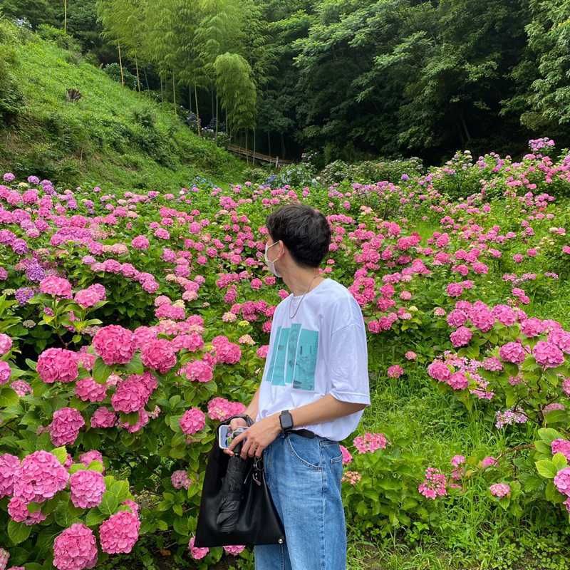⭐️Ogawa⭐️