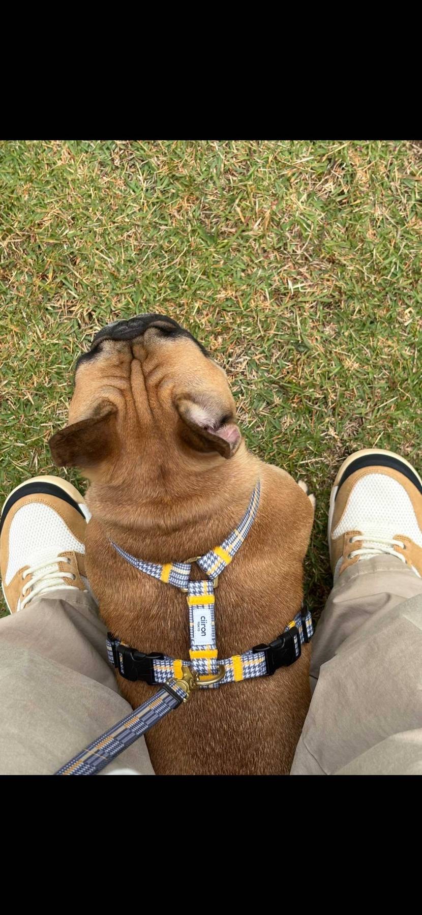 リンクコーデ👍