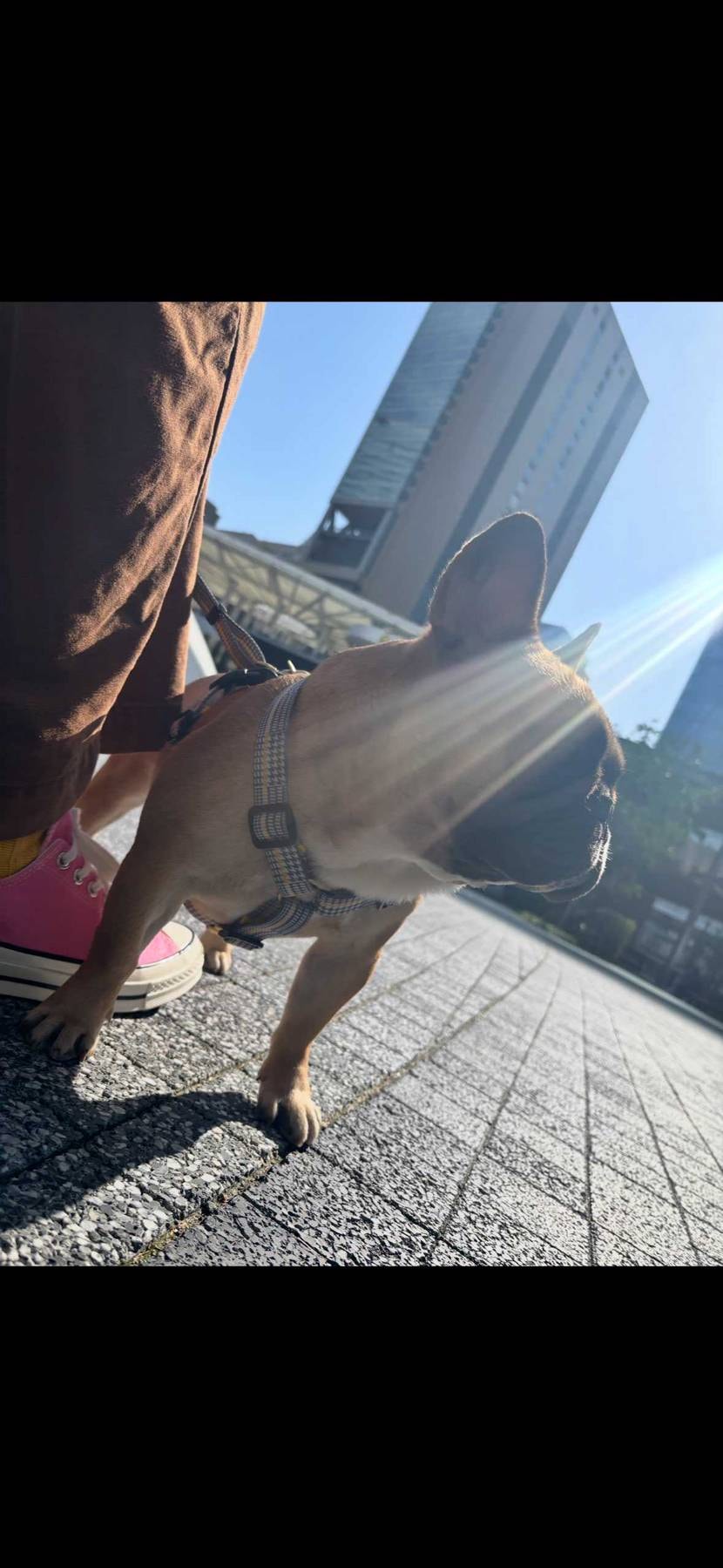 大阪はスニパスの受け取りで並んでるんですか？
👟