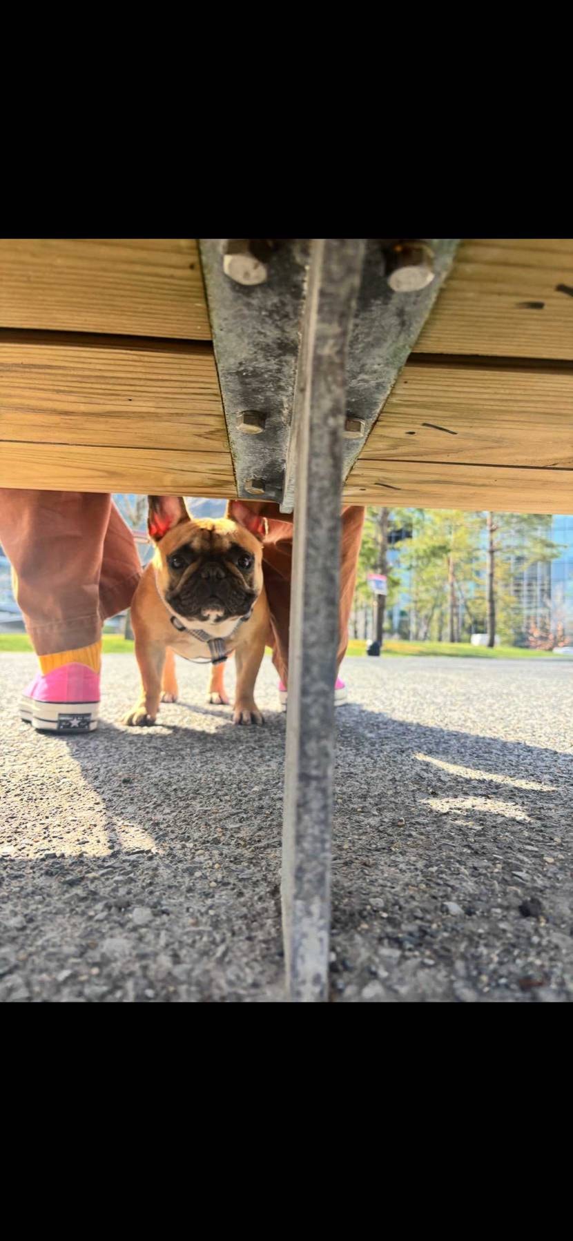 大阪はスニパスの受け取りで並んでるんですか？
👟