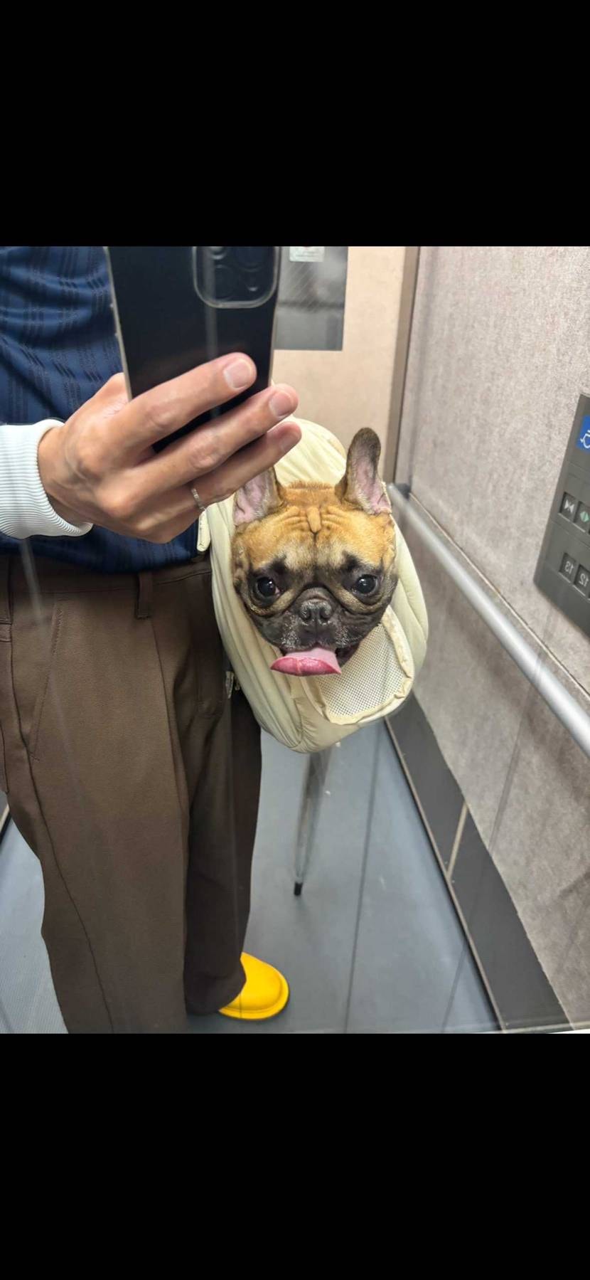 そー言う事か💦わかった🤣
いってきます✈️🫡