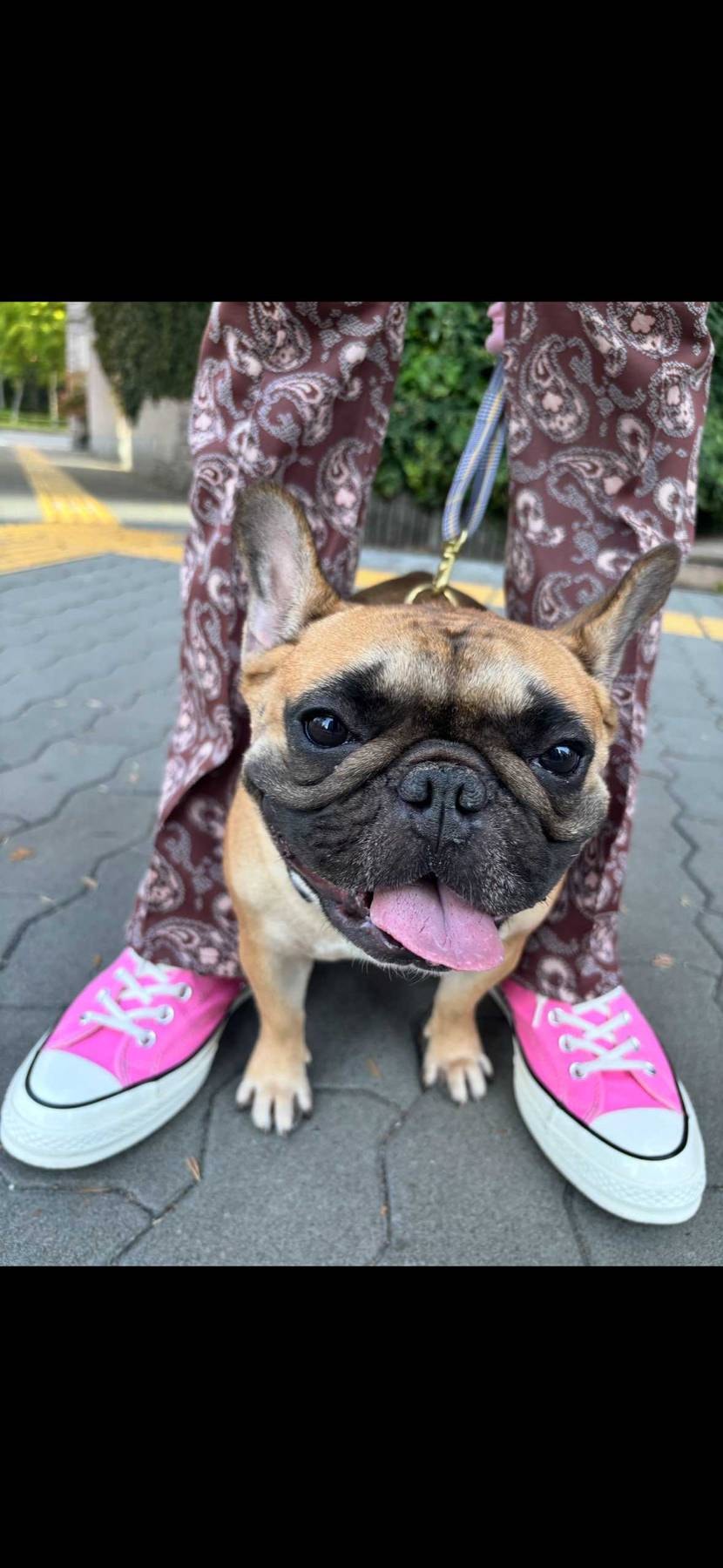 今日はええ顔撮れたかな😁