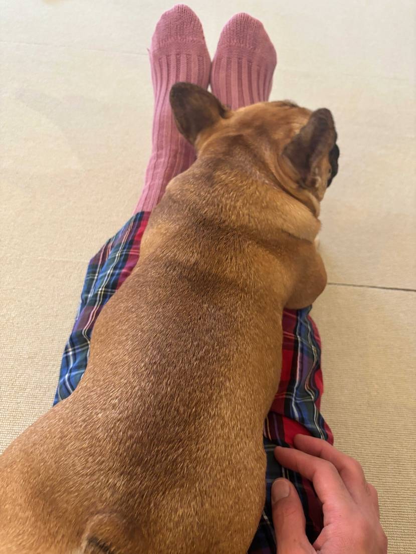 今日はのんびり、どれを入れ替えるか、まだ我慢するか履いてない