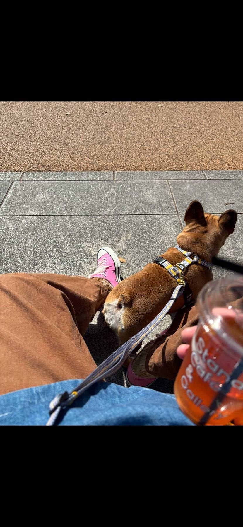 春ですね🌸
ワテも無事発送✌️