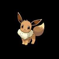 Eevee(出品者)