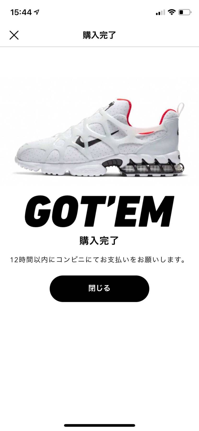 めっちゃ今更ながら定価割れしてたから買っちゃった