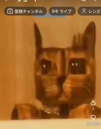 やっち