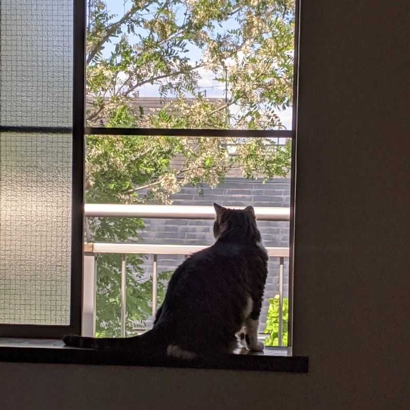 むっつ