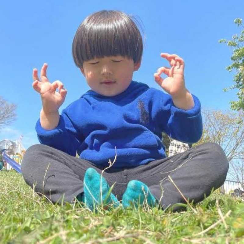 たつたか