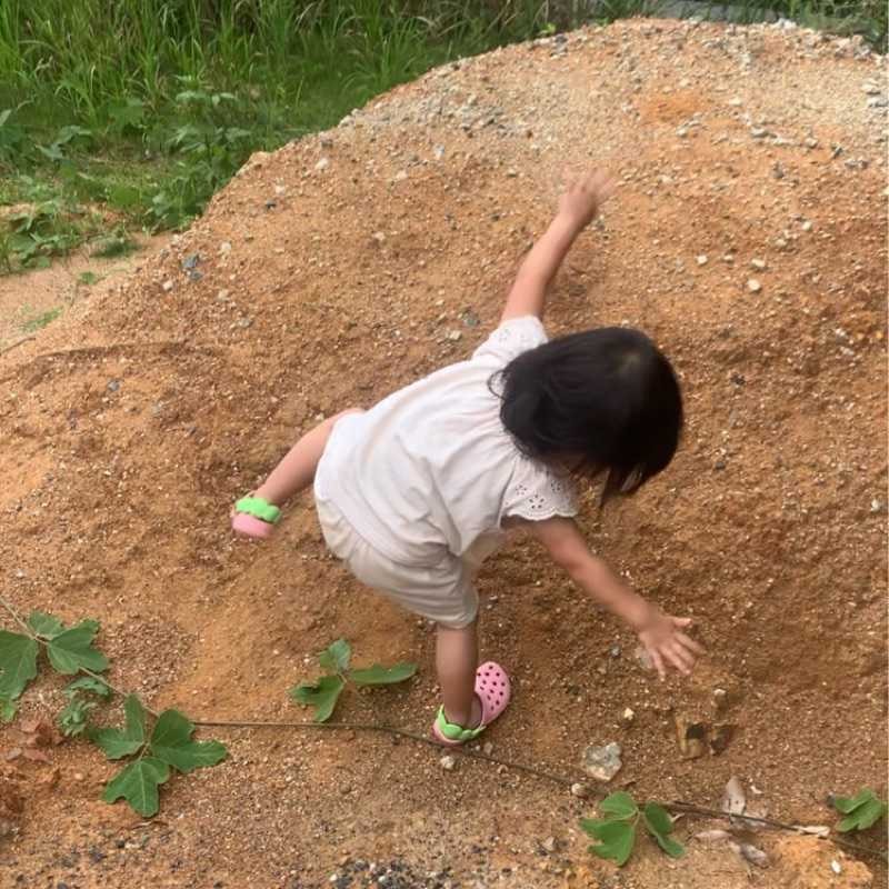 角谷 彰悟