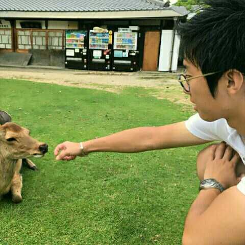 taiki