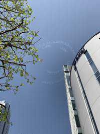 ユーザーアイコン