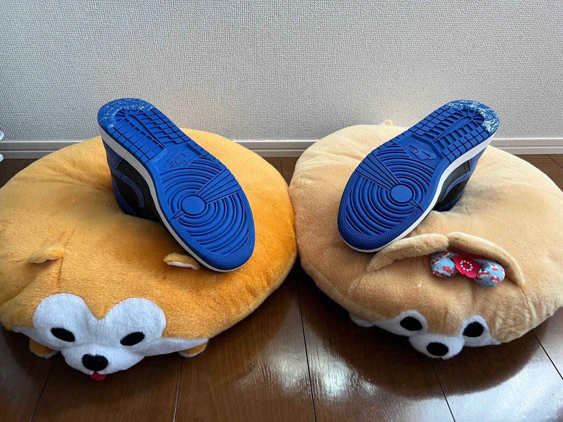 カカトにシューグー塗ったとこ👻

royal2013
シューグーはスポーツ